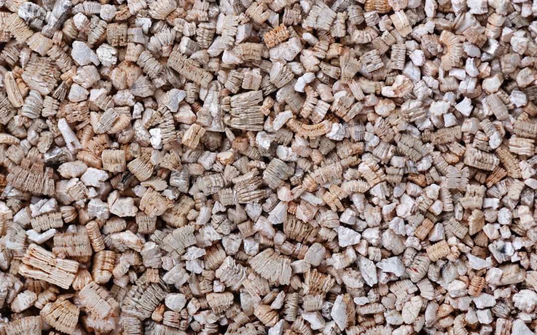 Décontamination de vermiculite : est-ce indispensable ?